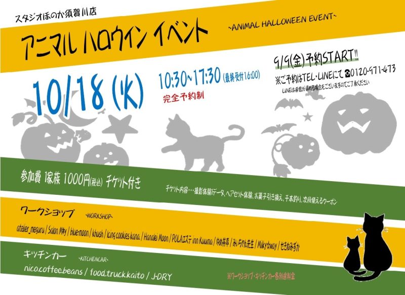 チラシ